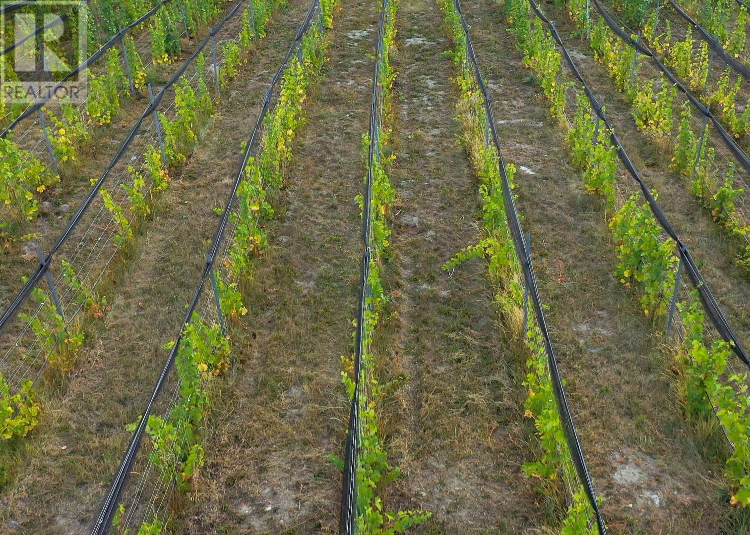 4112 Mclean Creek Road, Okanagan Falls, British Columbia  V0H 1R1 - Photo 5 - 10325851