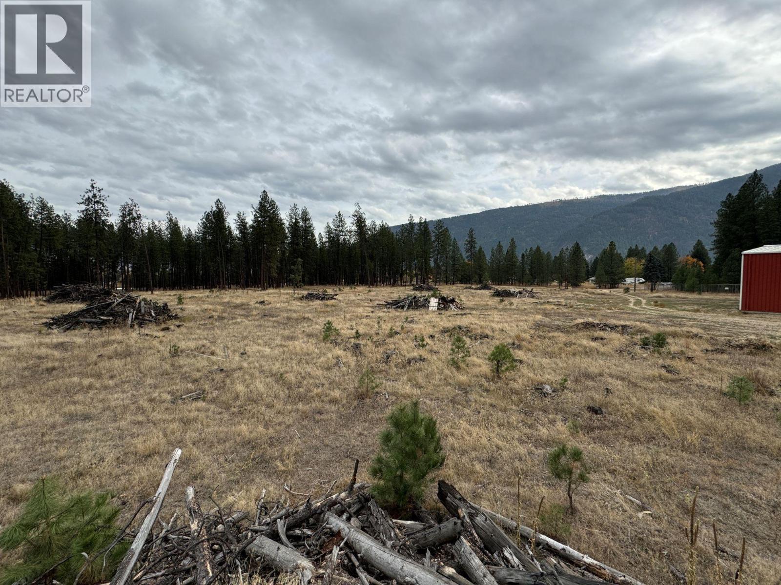 105 60th Avenue, Grand Forks, British Columbia  V0H 1H4 - Photo 11 - 2480114