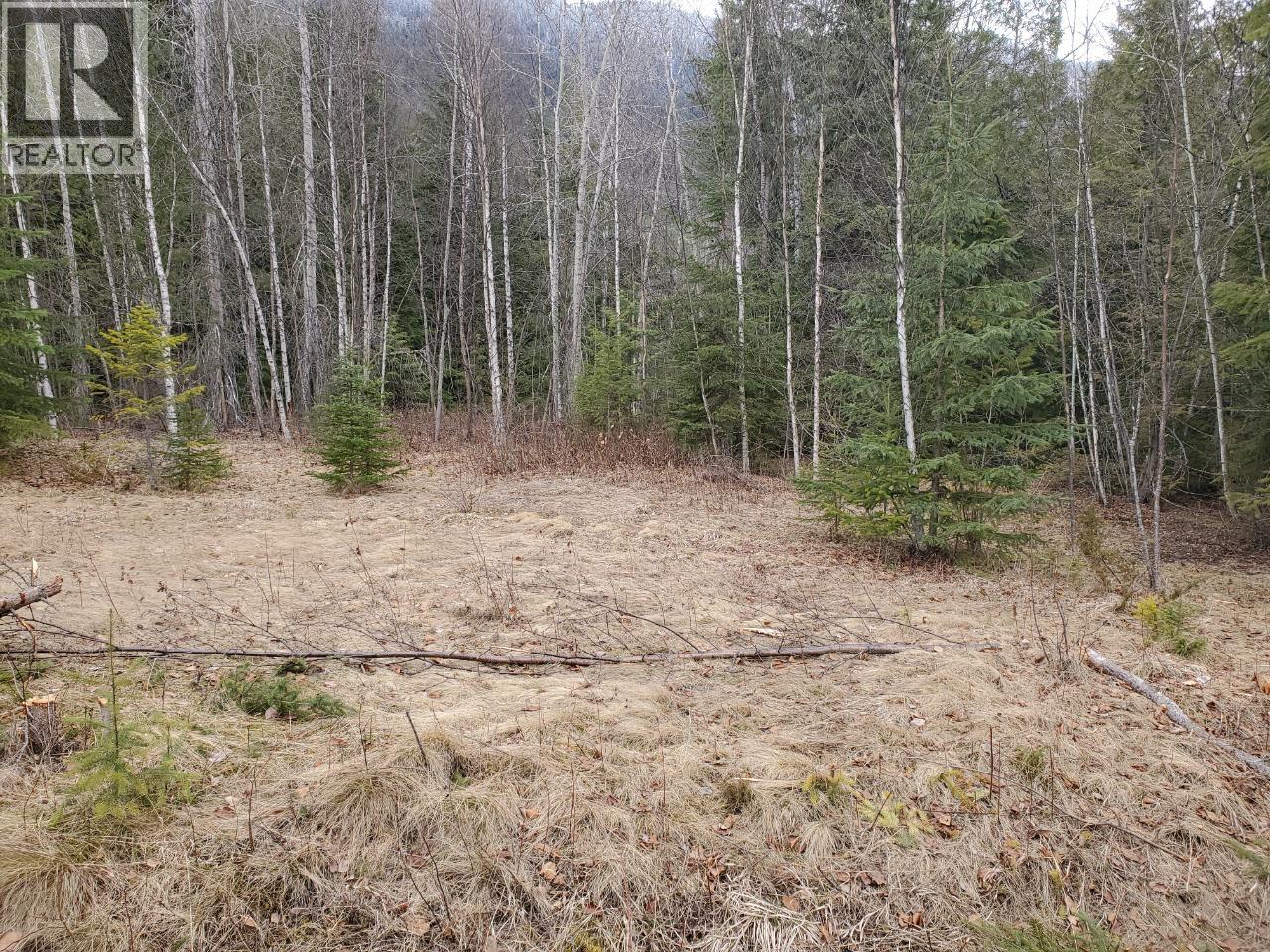 657 Hoirup Road, Clearwater, British Columbia  V0E 1N1 - Photo 6 - 181445