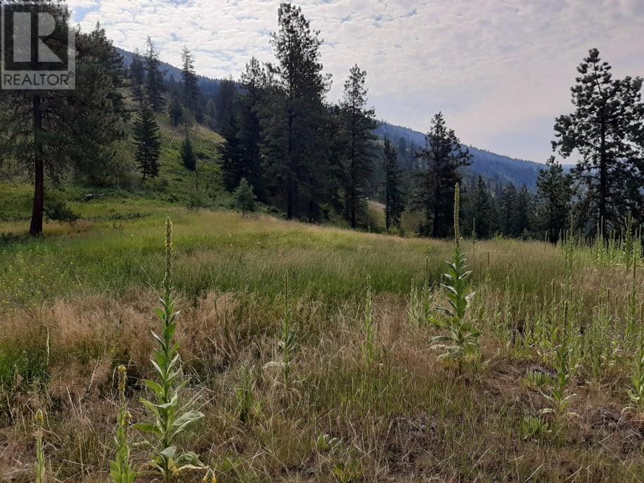 6189 Trans Canada Highway, Chase, British Columbia  V0E 1M1 - Photo 11 - 181469