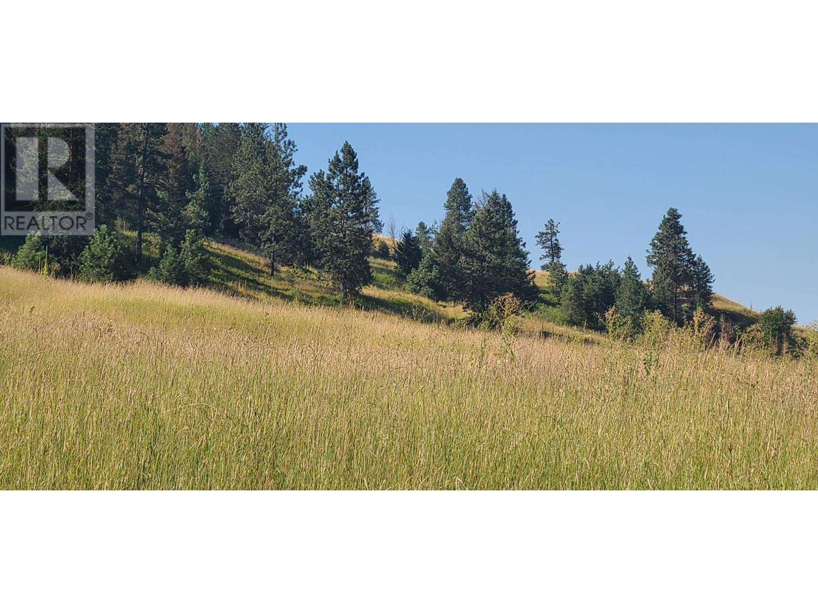 6189 Trans Canada Highway, Chase, British Columbia  V0E 1M1 - Photo 13 - 181469