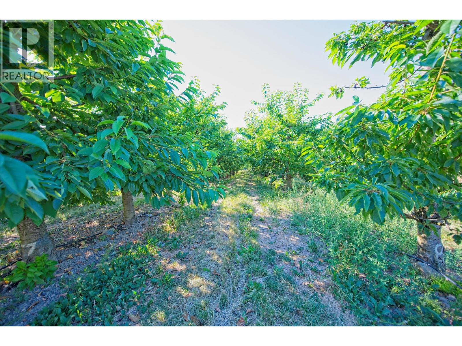 3423 3a Highway, Creston, British Columbia  V0B 1G8 - Photo 46 - 10327071