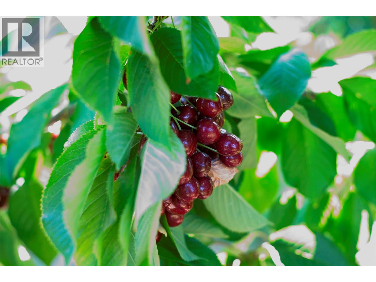 3423 3a Highway, Creston, British Columbia  V0B 1G8 - Photo 47 - 10327071