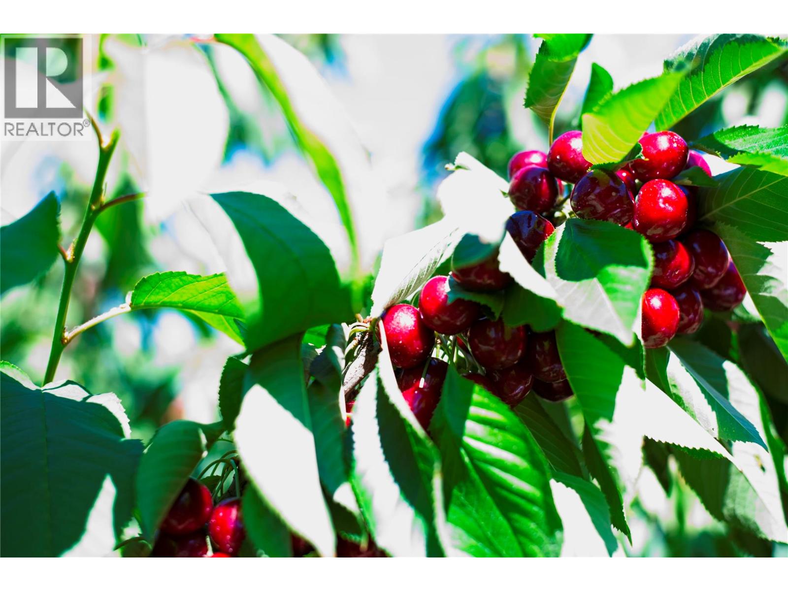 3423 3a Highway, Creston, British Columbia  V0B 1G8 - Photo 48 - 10327071