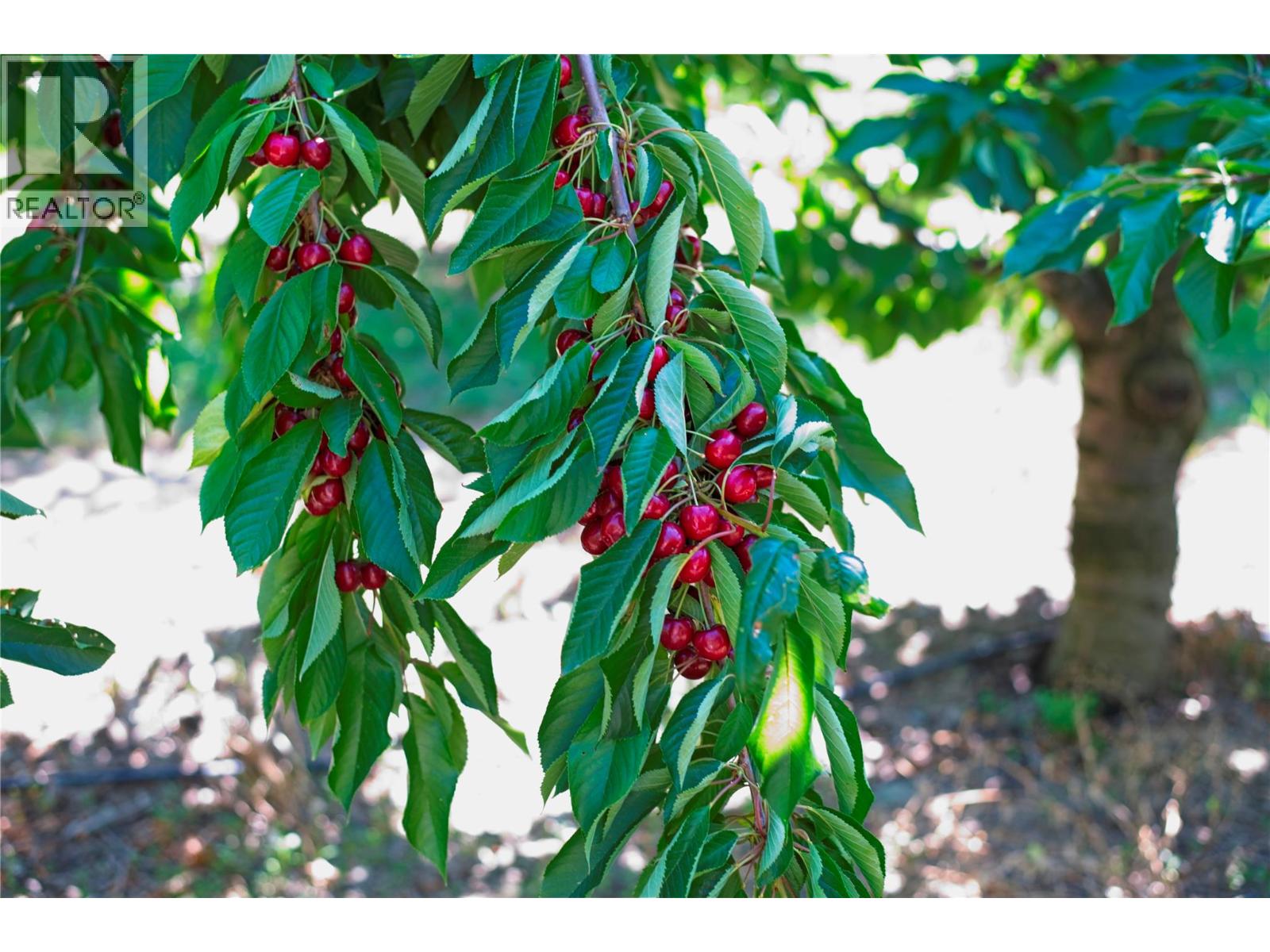 3423 3a Highway, Creston, British Columbia  V0B 1G8 - Photo 49 - 10327071