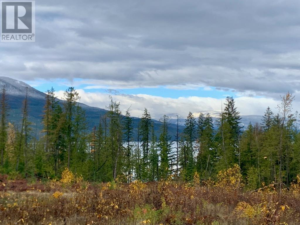 Lot A 23 Highway, Nakusp, British Columbia  V0G 1R0 - Photo 18 - 10327777