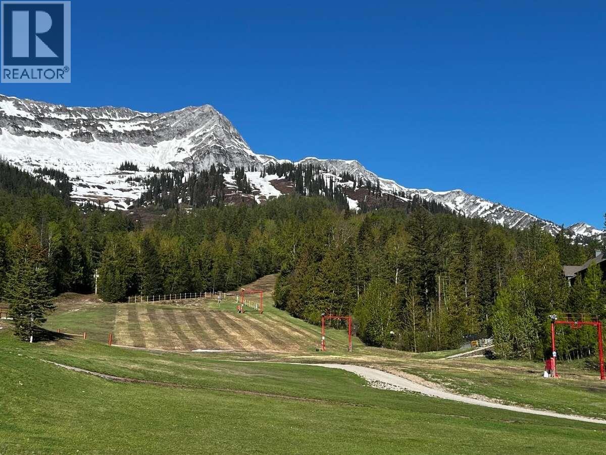 5369 Ski Hill Road Unit# 1, Fernie, British Columbia  V0B 1M6 - Photo 34 - 10328453