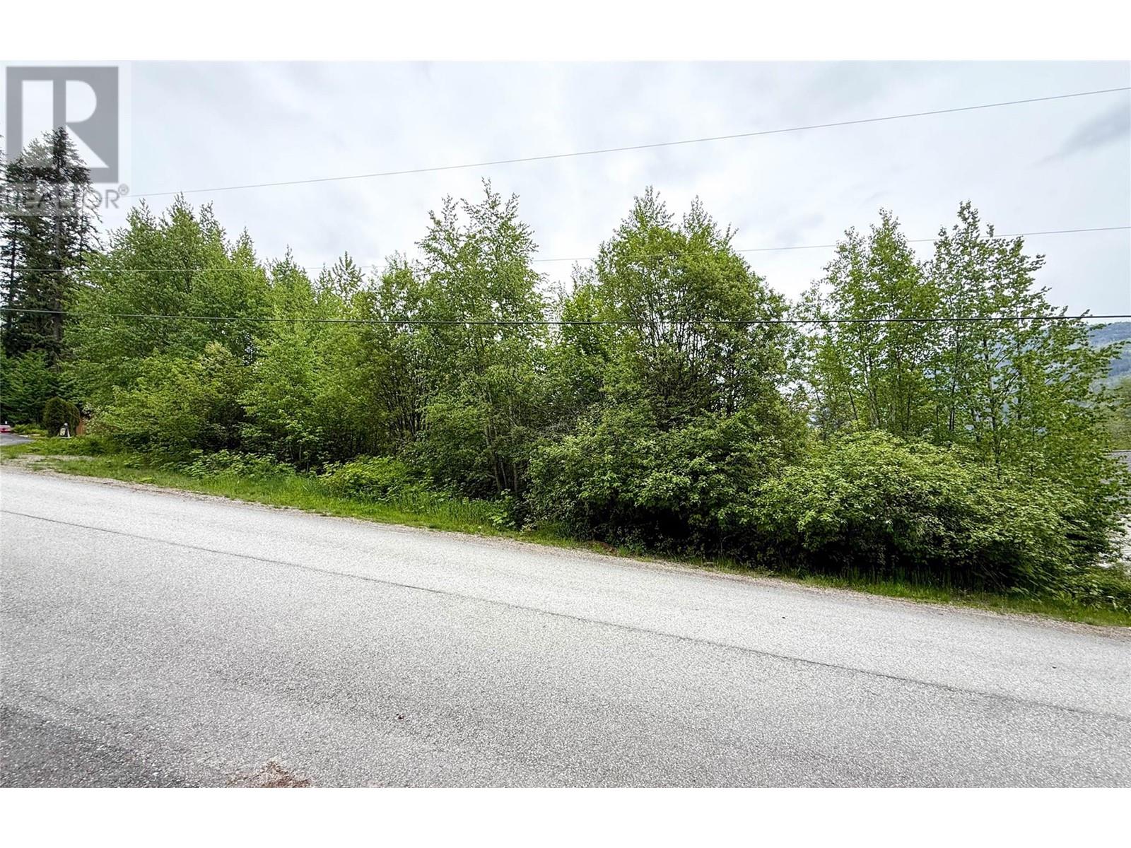 28 Evergreen Avenue, Fruitvale, British Columbia  V0G 1L0 - Photo 2 - 10328557