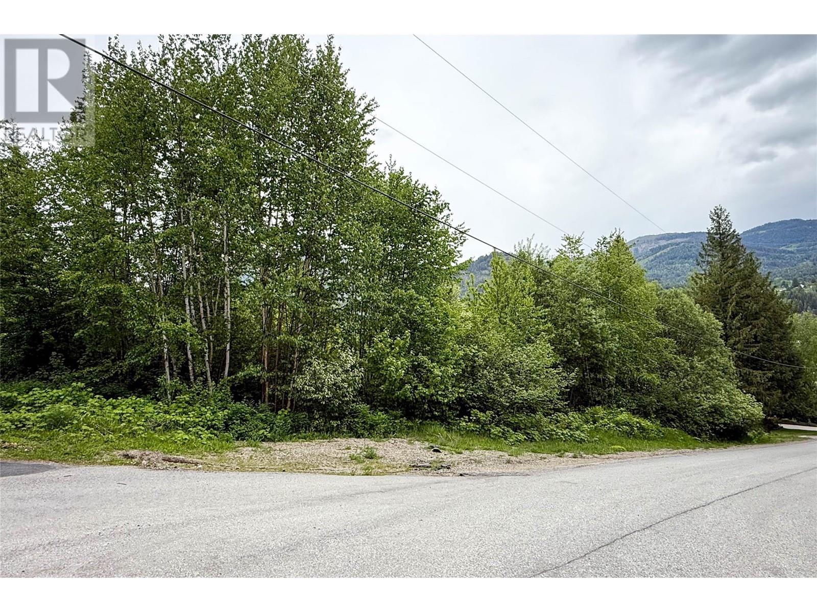 28 Evergreen Avenue, Fruitvale, British Columbia  V0G 1L0 - Photo 4 - 10328557