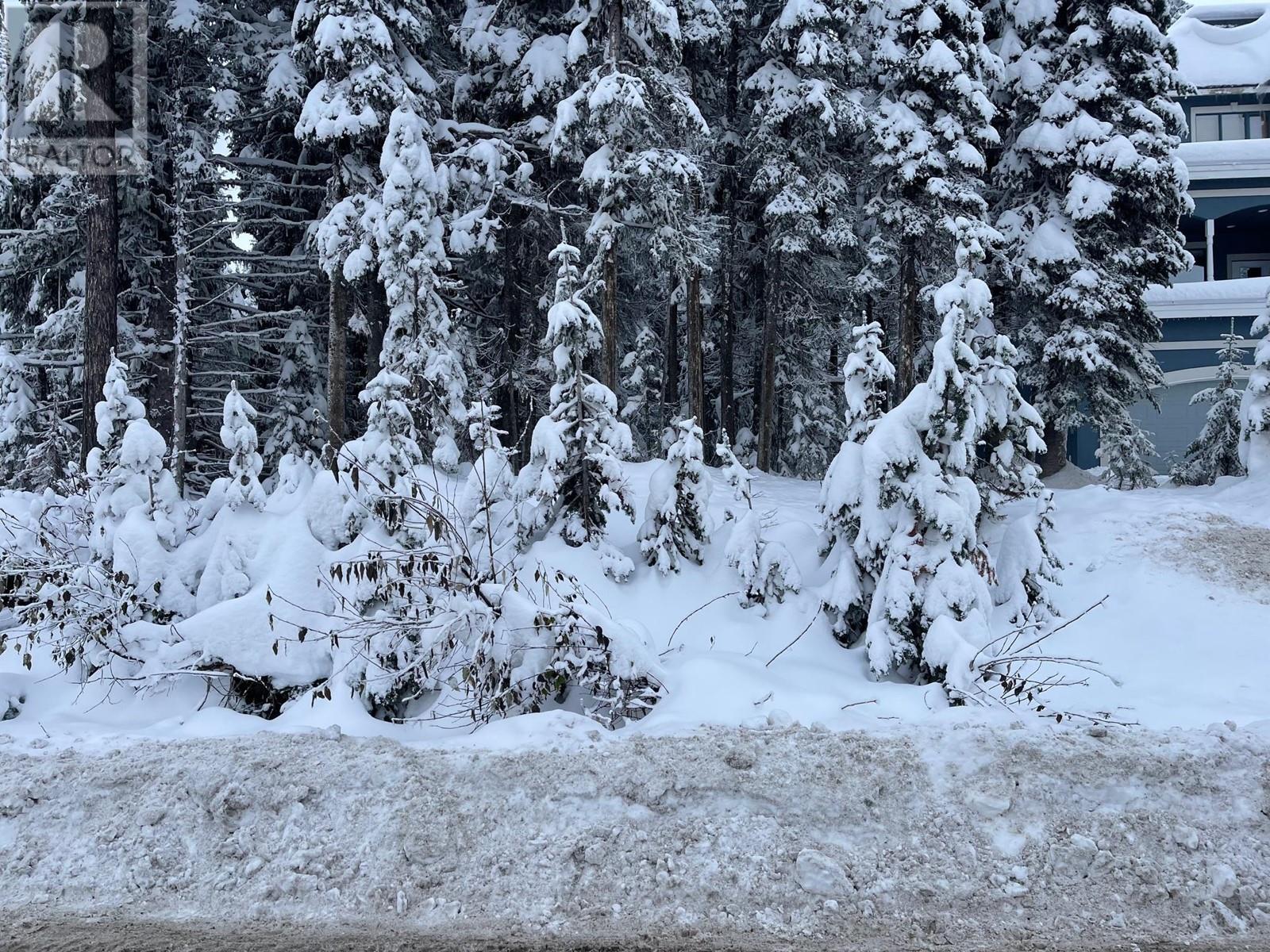 555 Monashee Road, Silver Star, British Columbia  V1B 3M1 - Photo 1 - 10329235