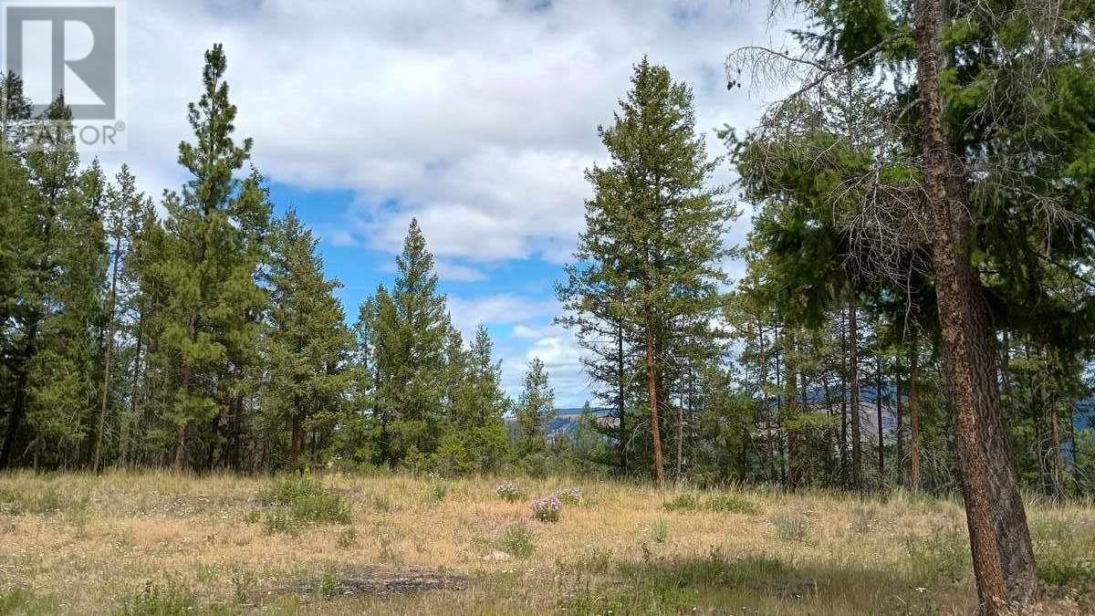 640 Highway 3 Unit# 1, Princeton, British Columbia  V0X 1W0 - Photo 11 - 10329628