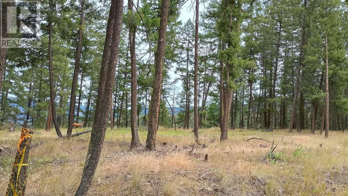 640 Highway 3 Unit# 1, Princeton, British Columbia  V0X 1W0 - Photo 16 - 10329628