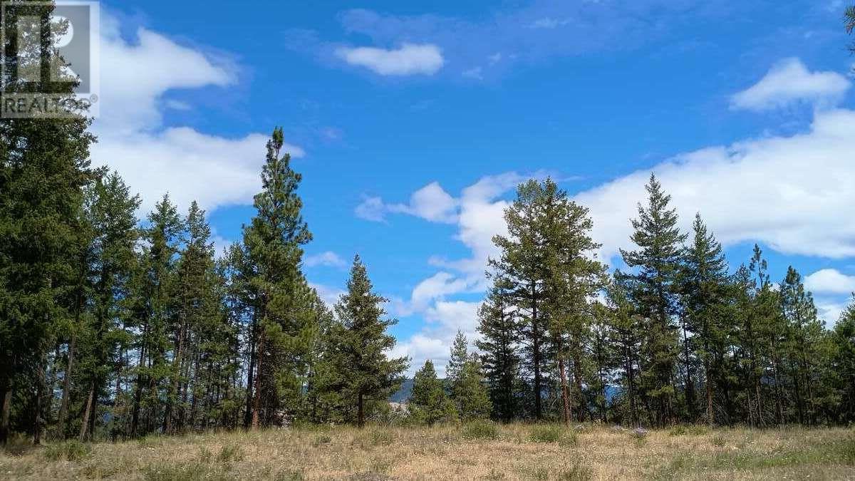 640 Highway 3 Unit# 1, Princeton, British Columbia  V0X 1W0 - Photo 2 - 10329628