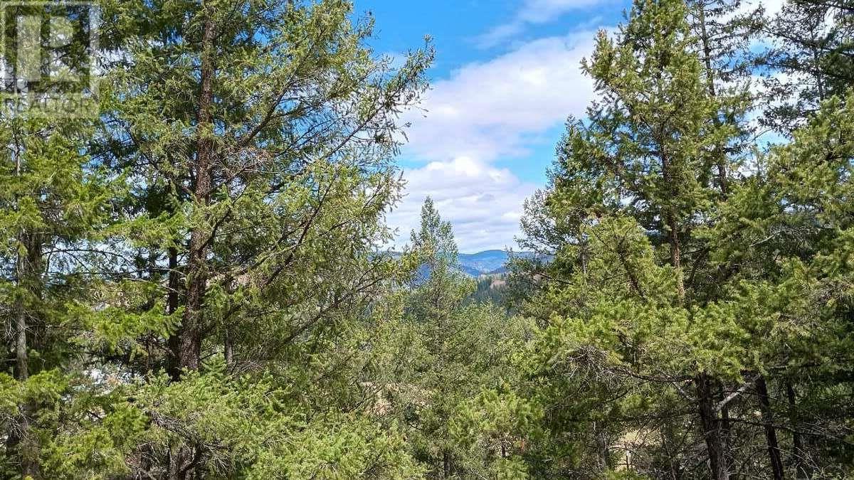 640 Highway 3 Unit# 1, Princeton, British Columbia  V0X 1W0 - Photo 3 - 10329628