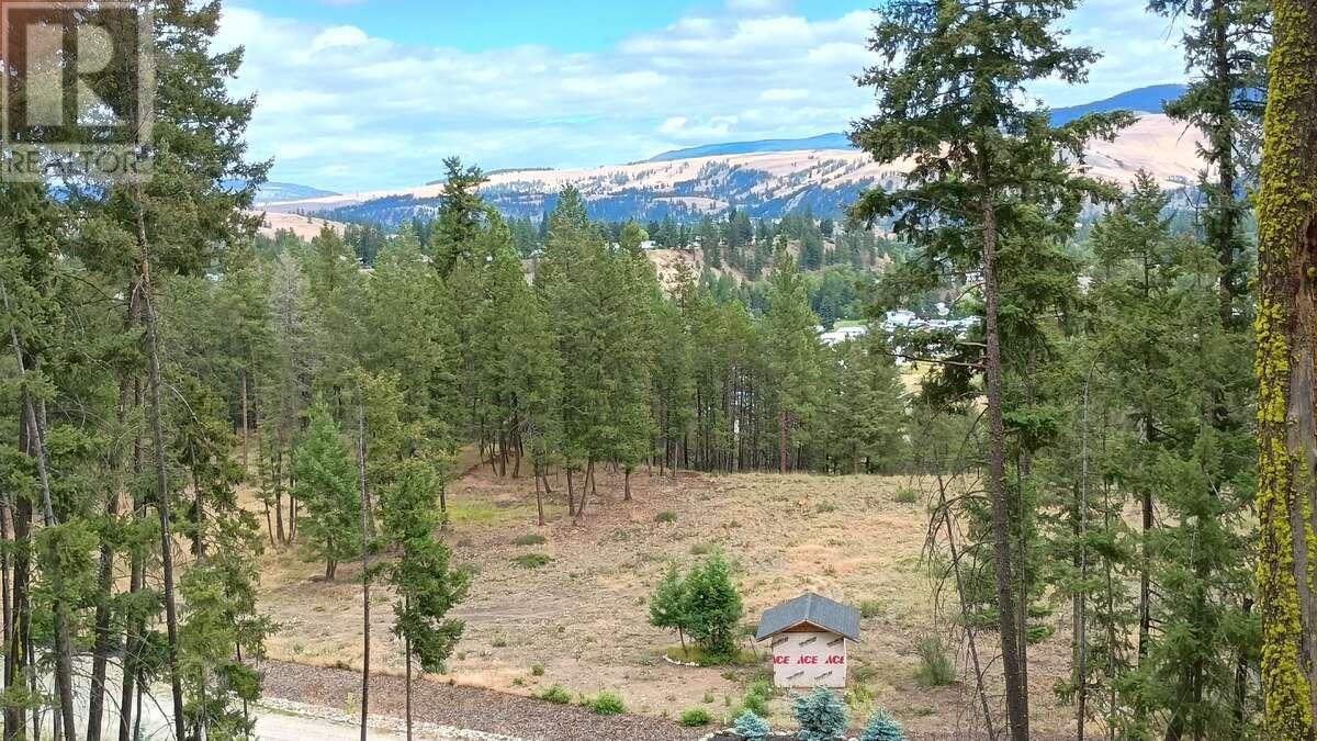 640 Highway 3 Unit# 1, Princeton, British Columbia  V0X 1W0 - Photo 4 - 10329628