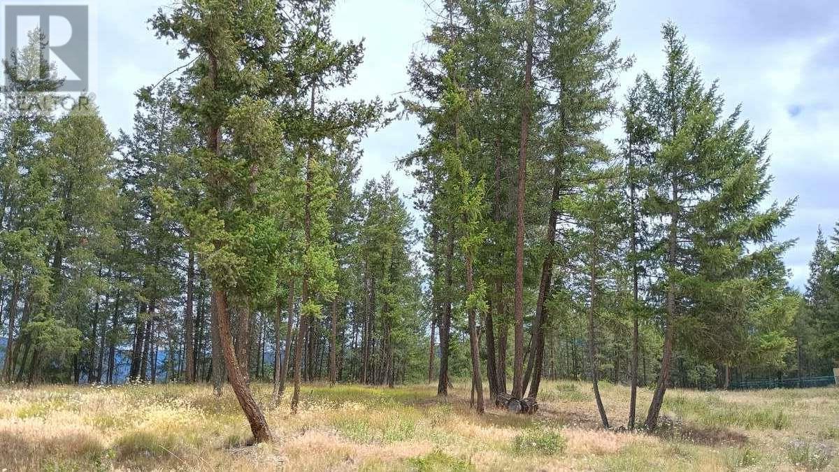 640 Highway 3 Unit# 1, Princeton, British Columbia  V0X 1W0 - Photo 8 - 10329628