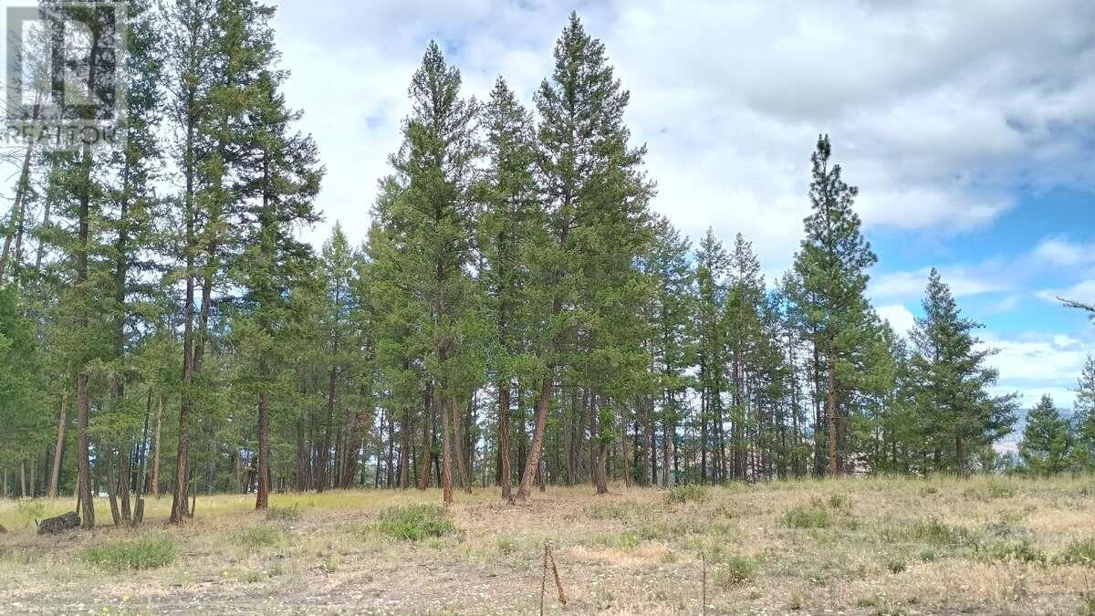 640 Highway 3 Unit# 1, Princeton, British Columbia  V0X 1W0 - Photo 9 - 10329628