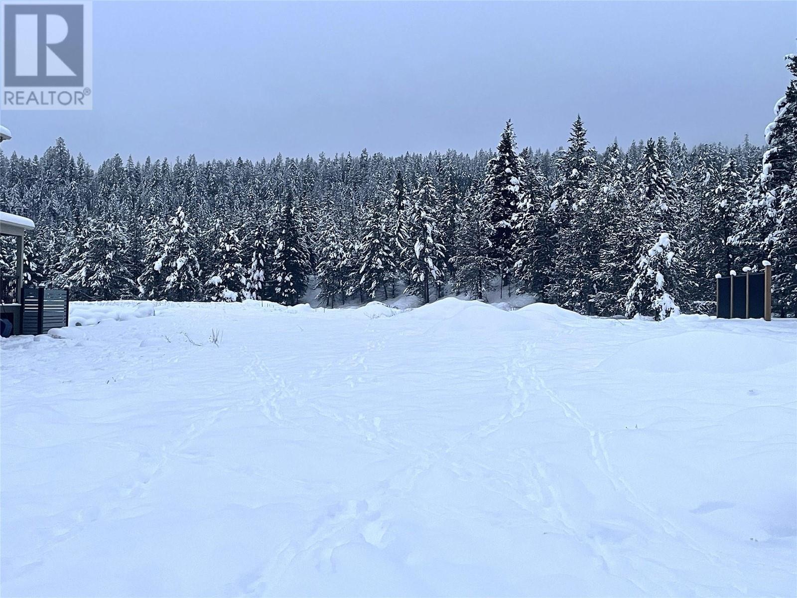 121 Shadow Mountain Boulevard, Cranbrook, British Columbia  V1C 0C6 - Photo 4 - 10329974