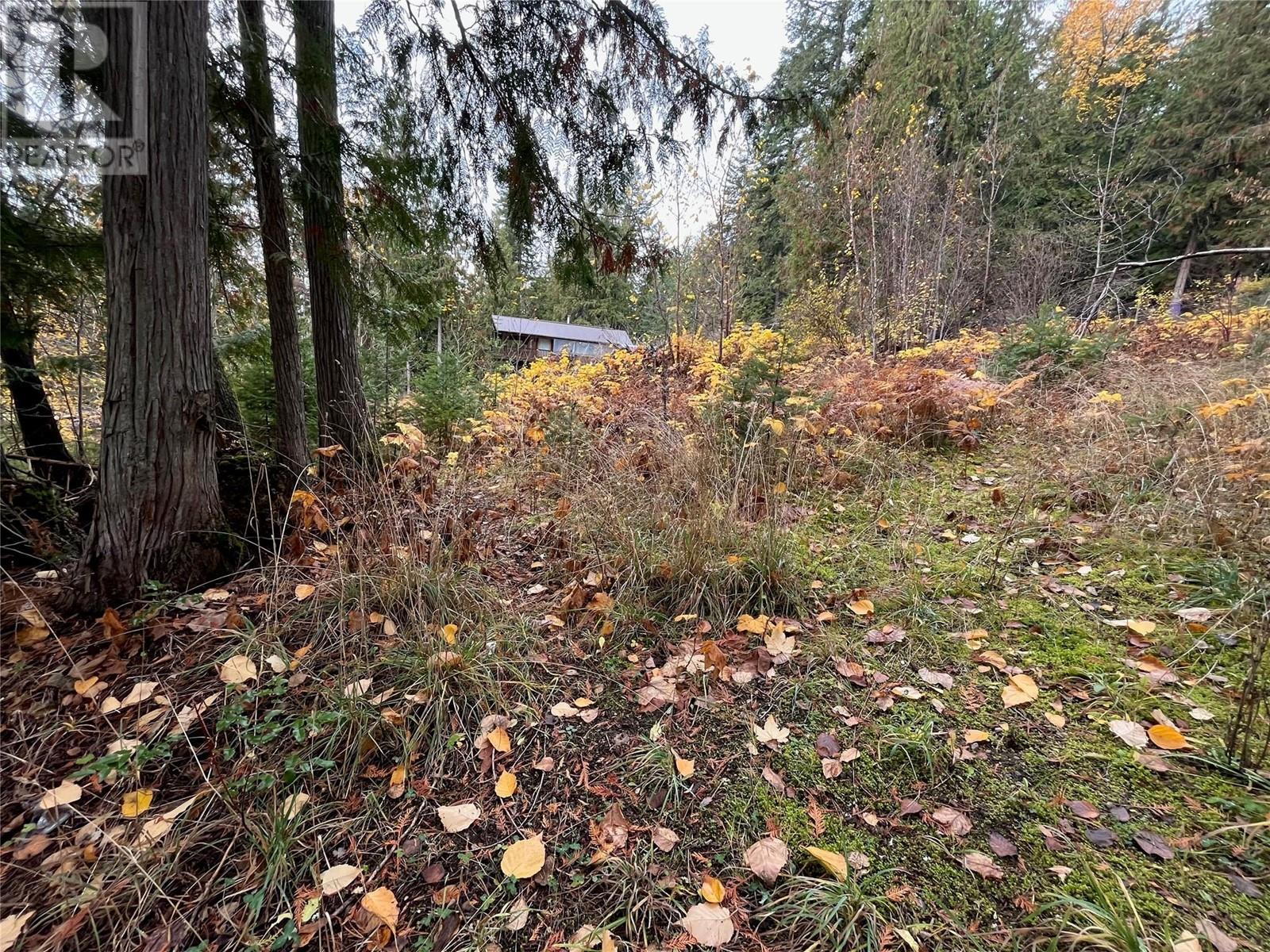 Lot 150 Anglemont Drive Lot# 150, Anglemont, British Columbia  V0E 1M8 - Photo 2 - 10330348