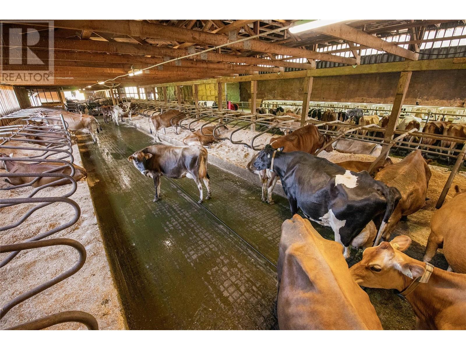 9982 97b Highway, Enderby, British Columbia  V0E 1V3 - Photo 13 - 10331525