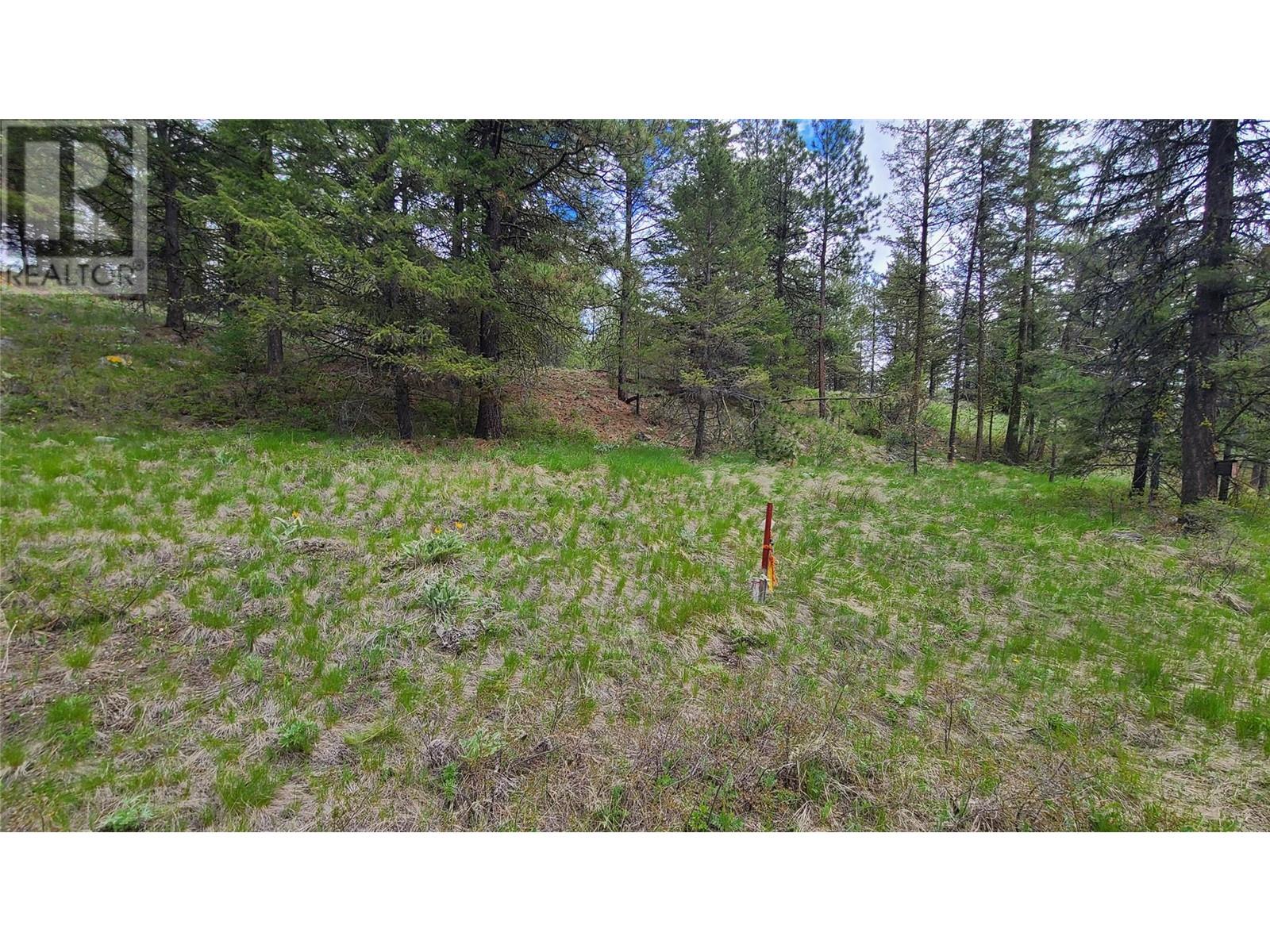 490 Wapiti Way, Osoyoos, British Columbia  V0H 1V6 - Photo 6 - 10331401