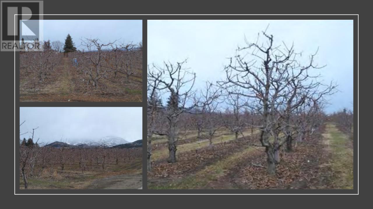 3844 Senger Road, Kelowna, British Columbia  V1W 4S4 - Photo 5 - 10331860