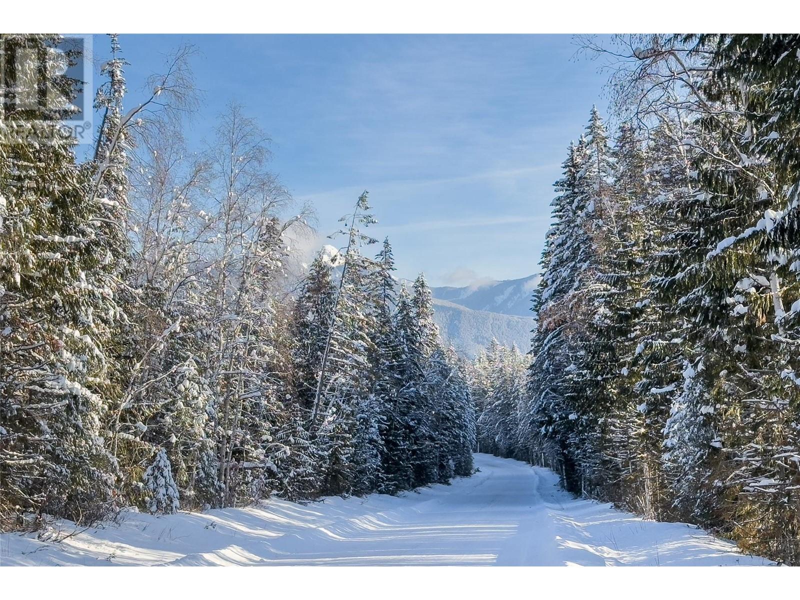 Lot 5 Golden Donald Upper Road, Golden, British Columbia  V0A 1H1 - Photo 1 - 10332466