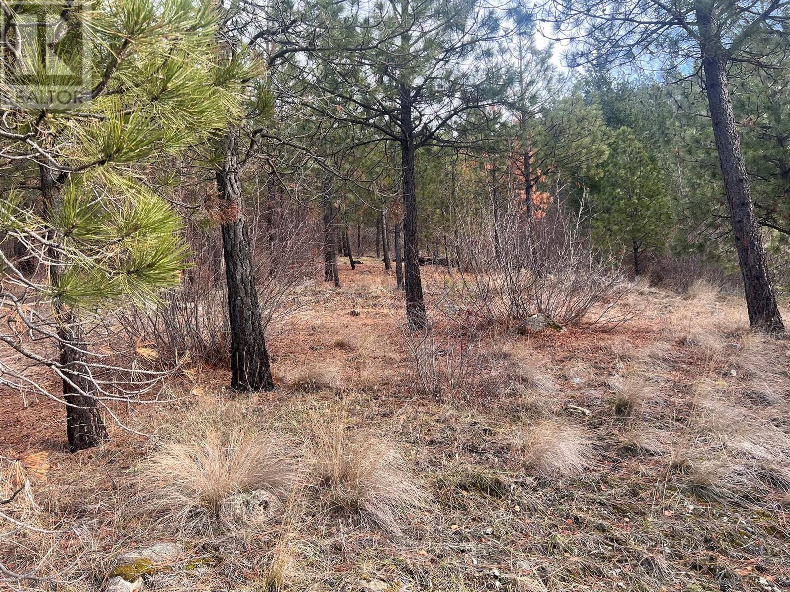 177 Loring Way, Lytton, British Columbia  V0K 1Z0 - Photo 13 - 10332664