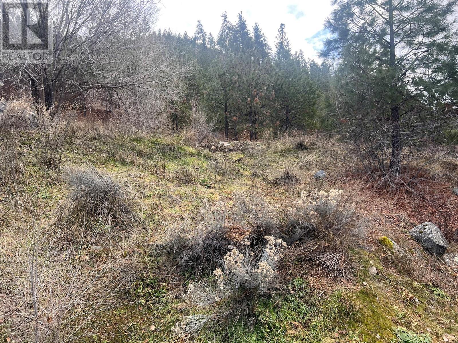 177 Loring Way, Lytton, British Columbia  V0K 1Z0 - Photo 17 - 10332664