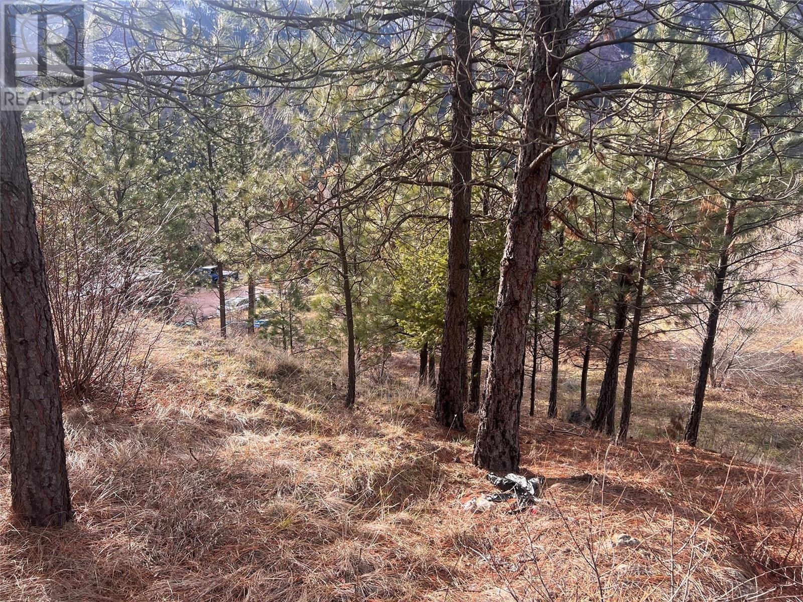 177 Loring Way, Lytton, British Columbia  V0K 1Z0 - Photo 4 - 10332664