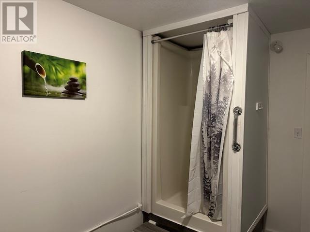 5014 Hwy 2, Pouce Coupe, British Columbia  V0C 2C0 - Photo 13 - 10332776