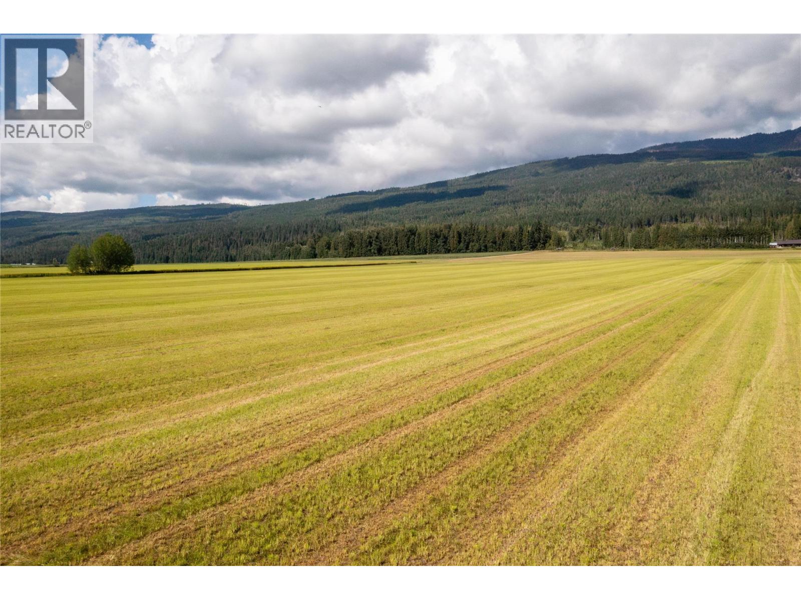 266 Mallory Road, Enderby, British Columbia  V4Y 4H9 - Photo 51 - 10332976