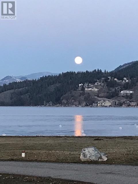 606 Nighthawk Avenue, Vernon, British Columbia  V1H 2A1 - Photo 46 - 10333198