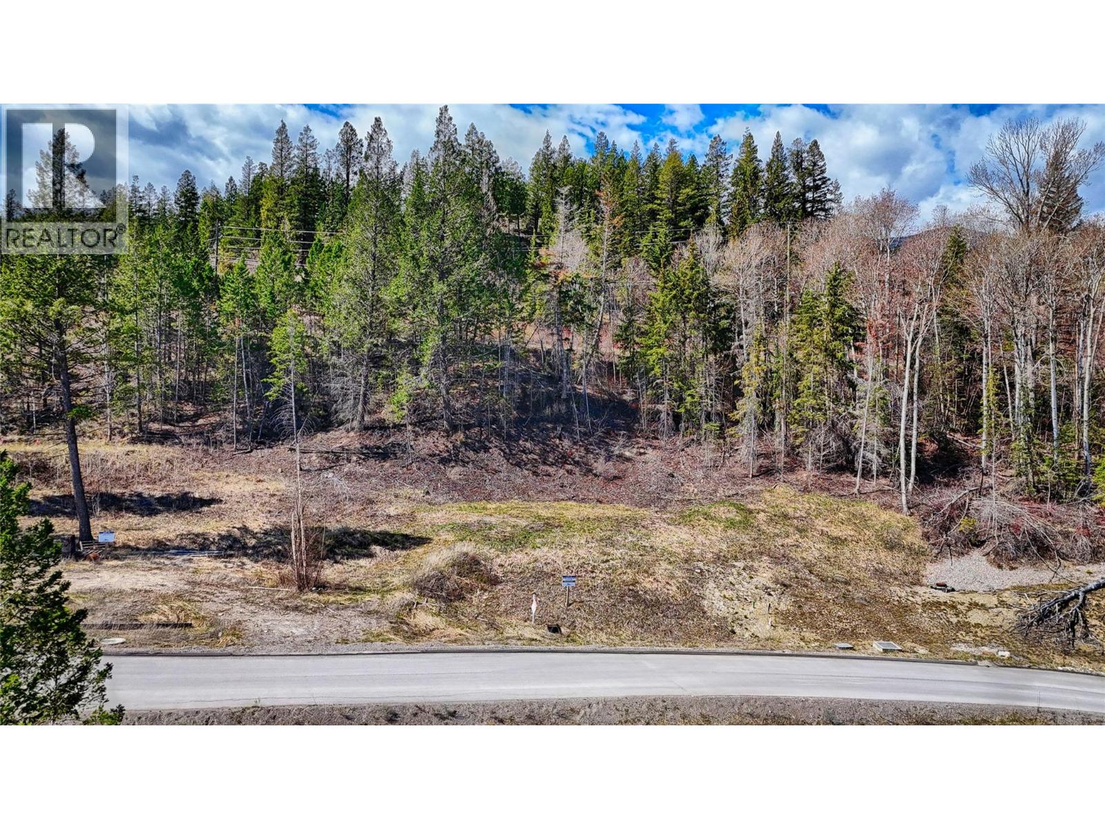 6200 Columbia Lake Road Lot# 12, Fairmont Hot Springs, British Columbia  V0B 1L2 - Photo 12 - 10334048