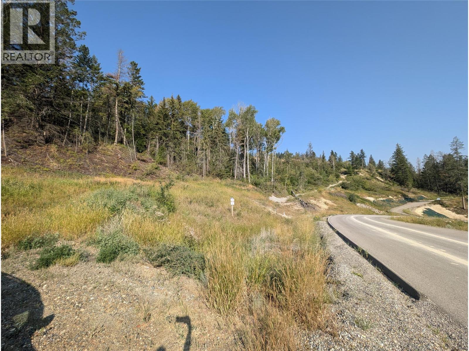 6200 Columbia Lake Road Lot# 12, Fairmont Hot Springs, British Columbia  V0B 1L2 - Photo 8 - 10334048