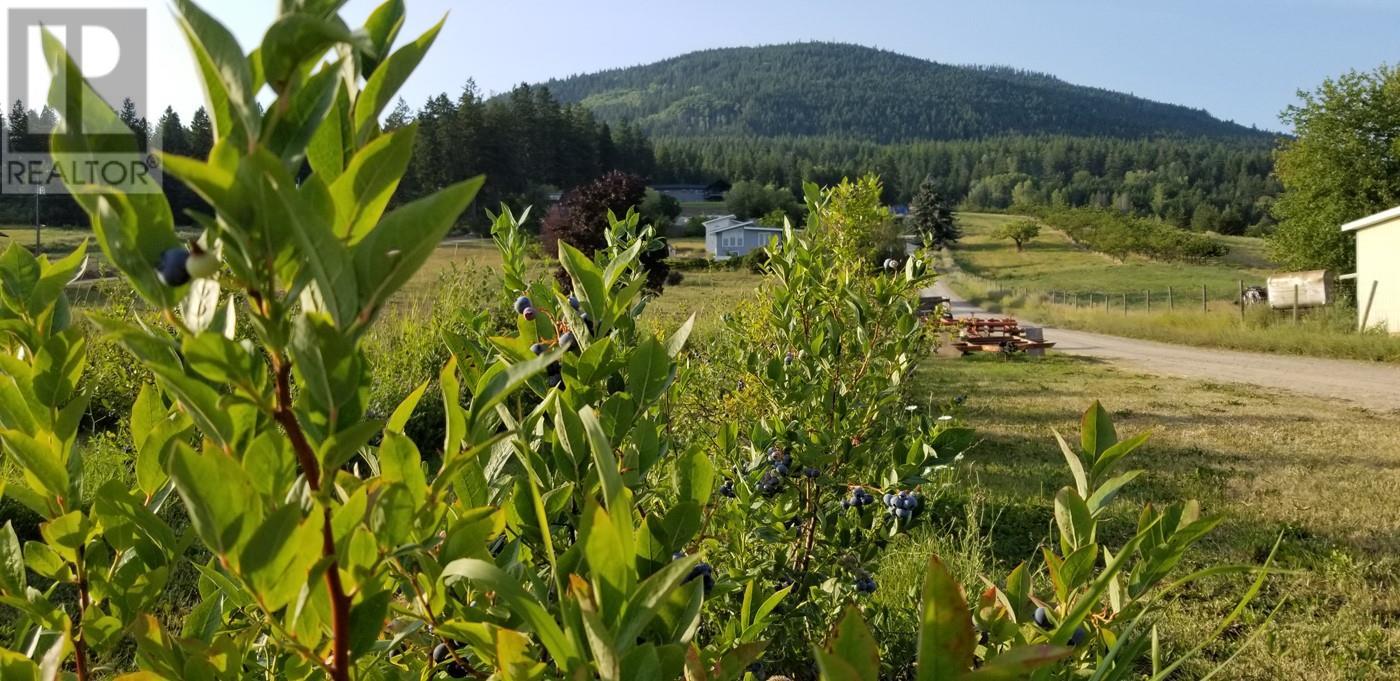 2918 Highway 3, Erickson, British Columbia  V0B 1G1 - Photo 13 - 10335420