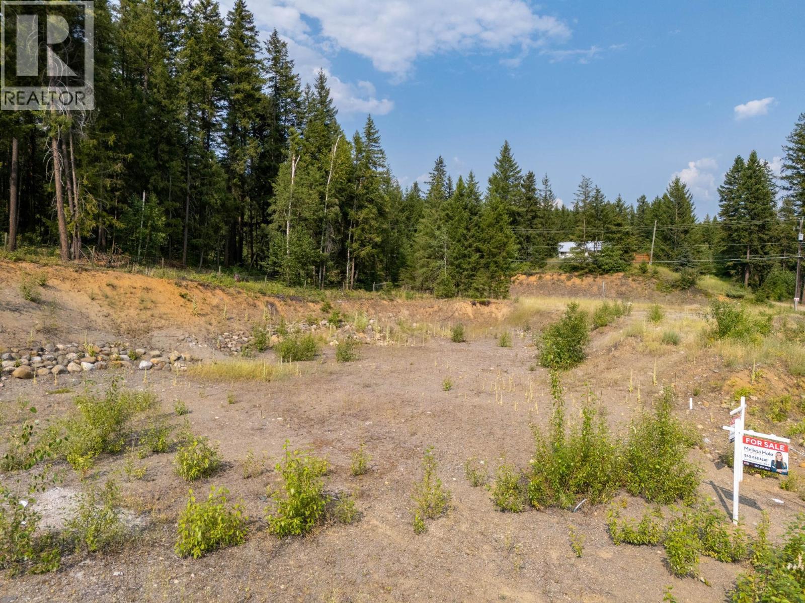 461 Lytton Crescent, Clearwater, British Columbia  V0E 1N2 - Photo 1 - 10334711