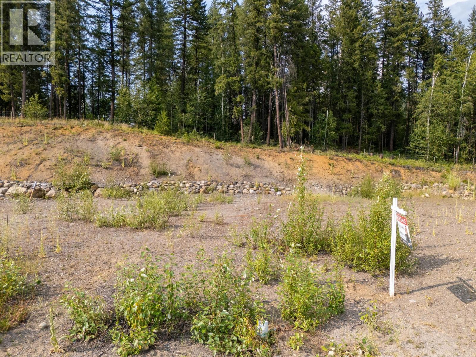 461 Lytton Crescent, Clearwater, British Columbia  V0E 1N2 - Photo 3 - 10334711