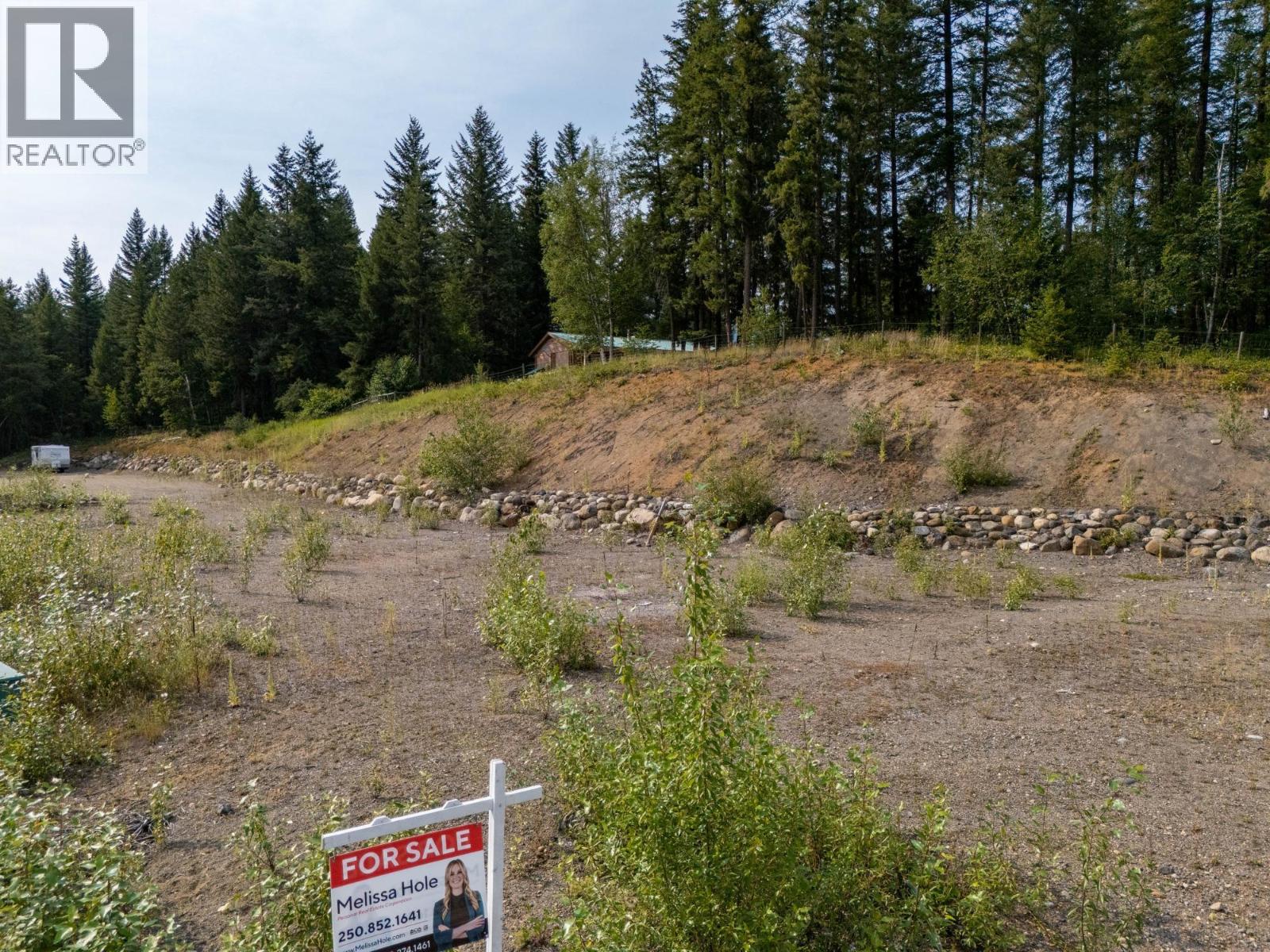 461 Lytton Crescent, Clearwater, British Columbia  V0E 1N2 - Photo 4 - 10334711