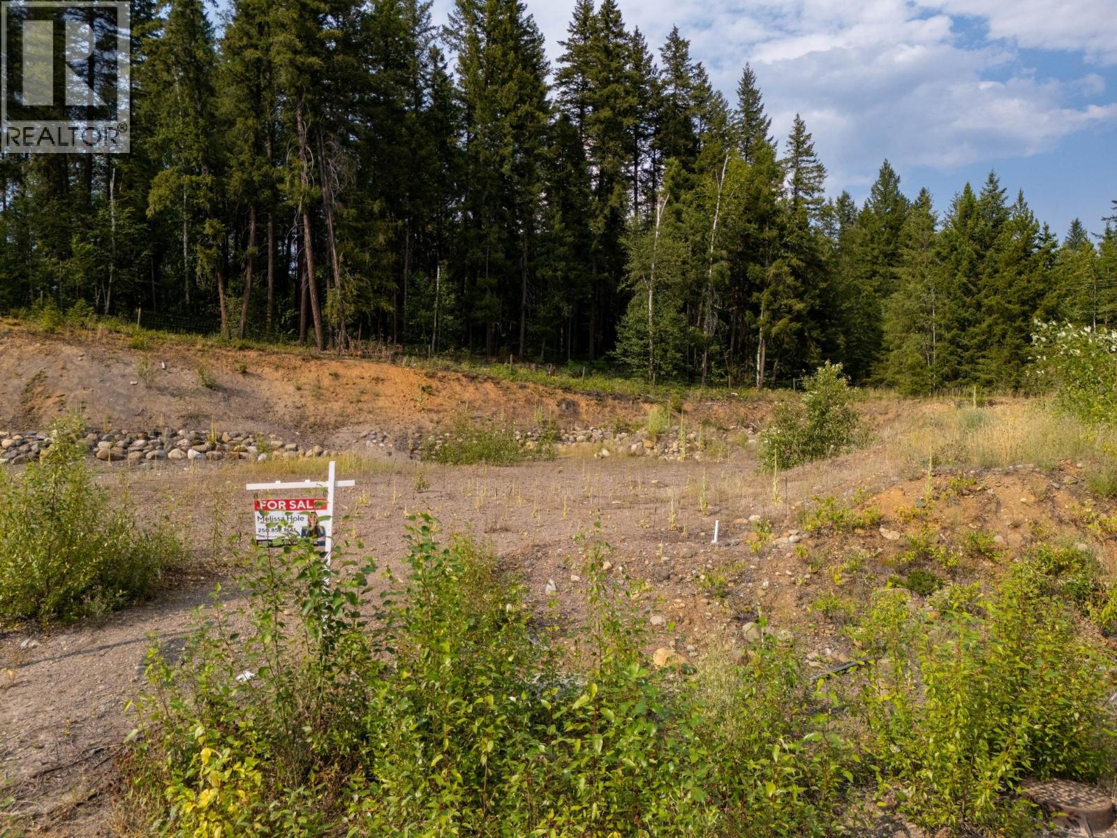 461 Lytton Crescent, Clearwater, British Columbia  V0E 1N2 - Photo 5 - 10334711