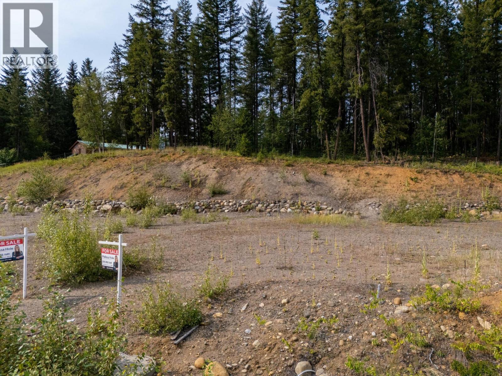 461 Lytton Crescent, Clearwater, British Columbia  V0E 1N2 - Photo 6 - 10334711