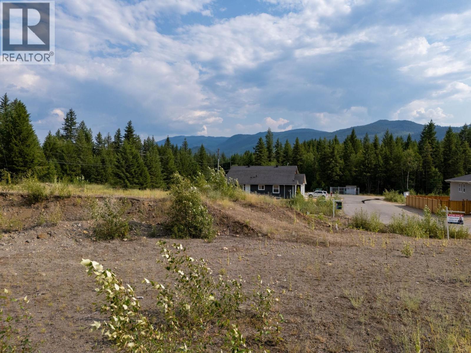 465 Lytton Crescent, Clearwater, British Columbia  V0E 1N1 - Photo 9 - 10334707