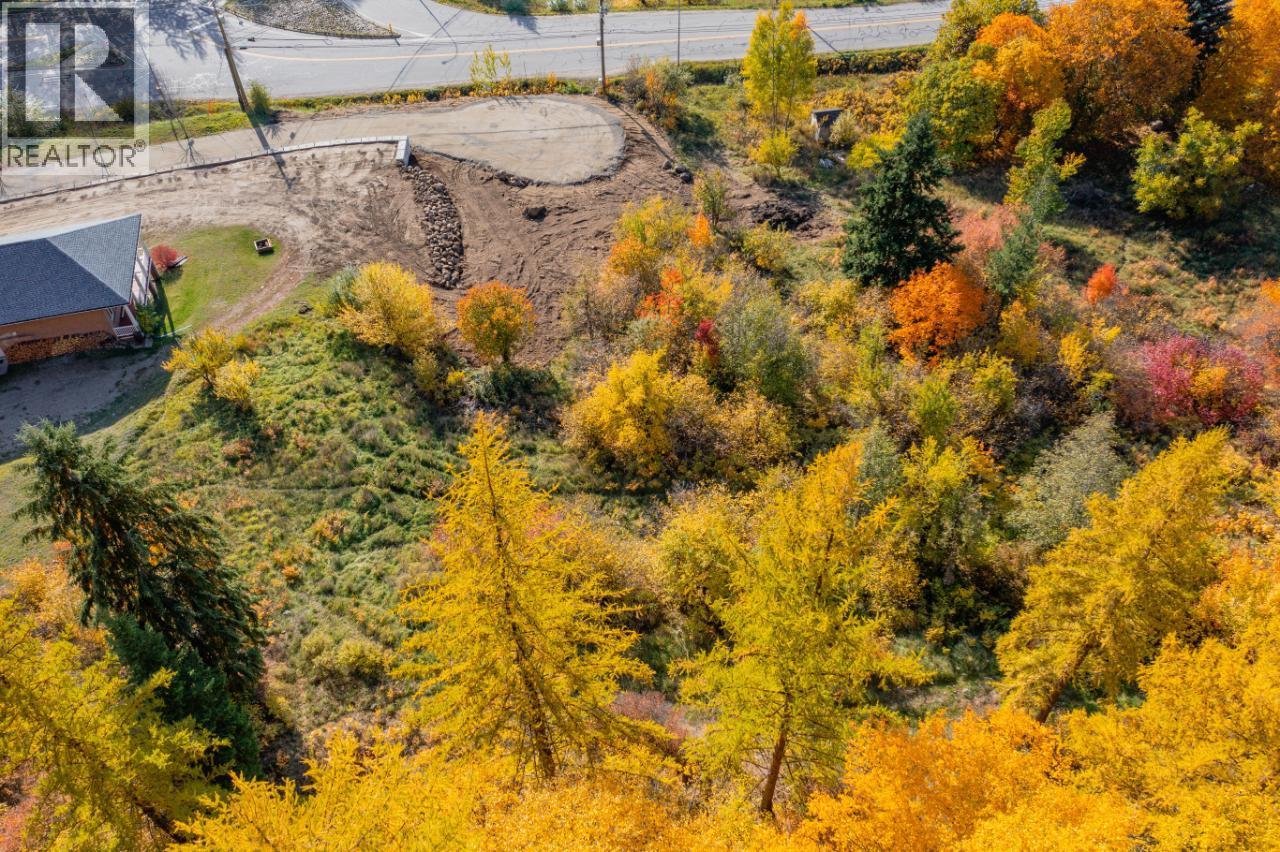 Lot B Robson Access Road, Castlegar, British Columbia  V1N 3W4 - Photo 9 - 10335897