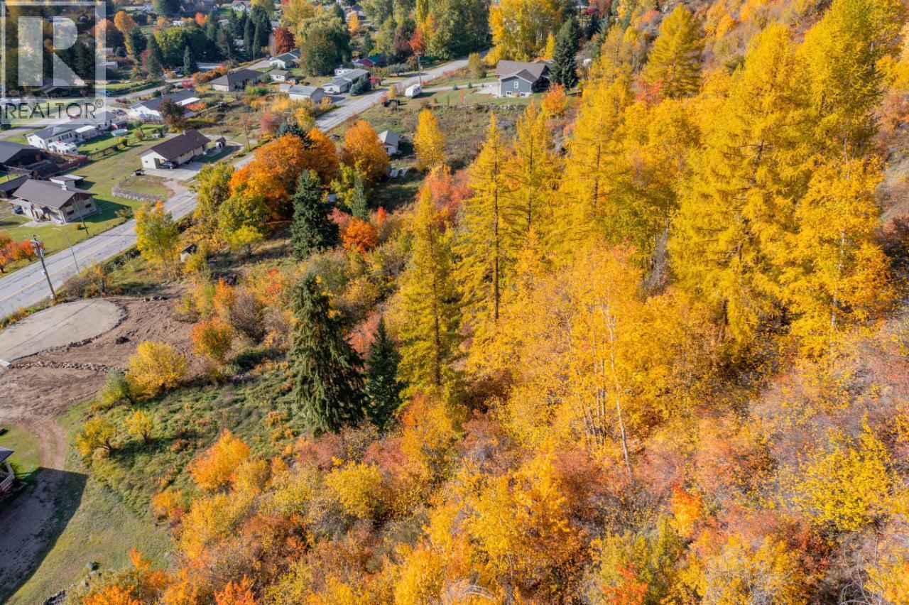 Lot A Robson Access Road, Castlegar, British Columbia  V1N 3W4 - Photo 11 - 10335896