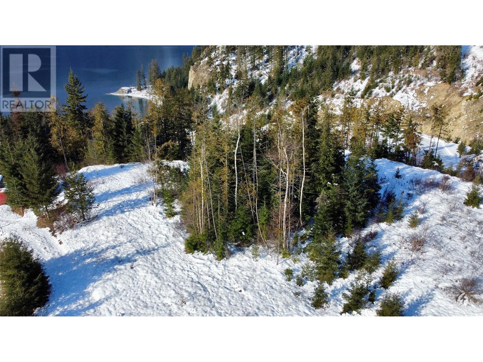 210 Fullmoon Road, Rosebery, British Columbia  V0G 1S1 - Photo 20 - 10335451