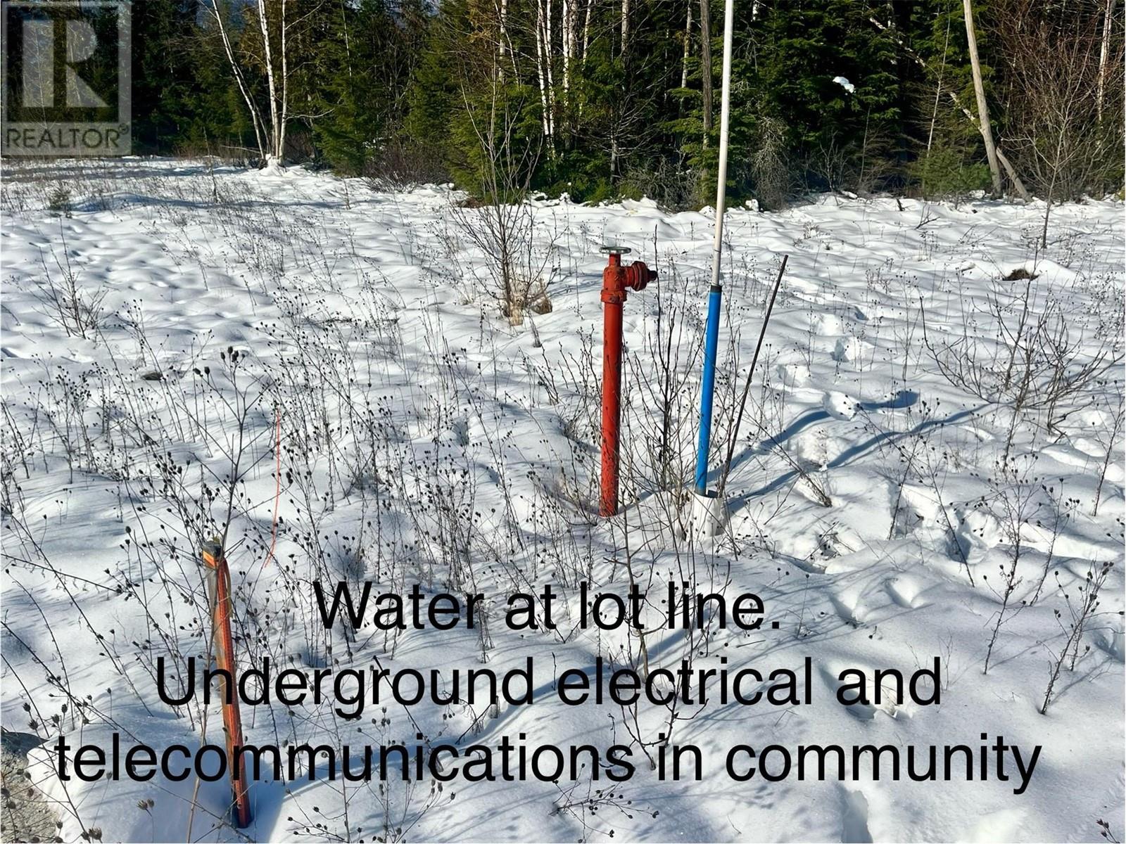 210 Fullmoon Road, Rosebery, British Columbia  V0G 1S1 - Photo 32 - 10335451