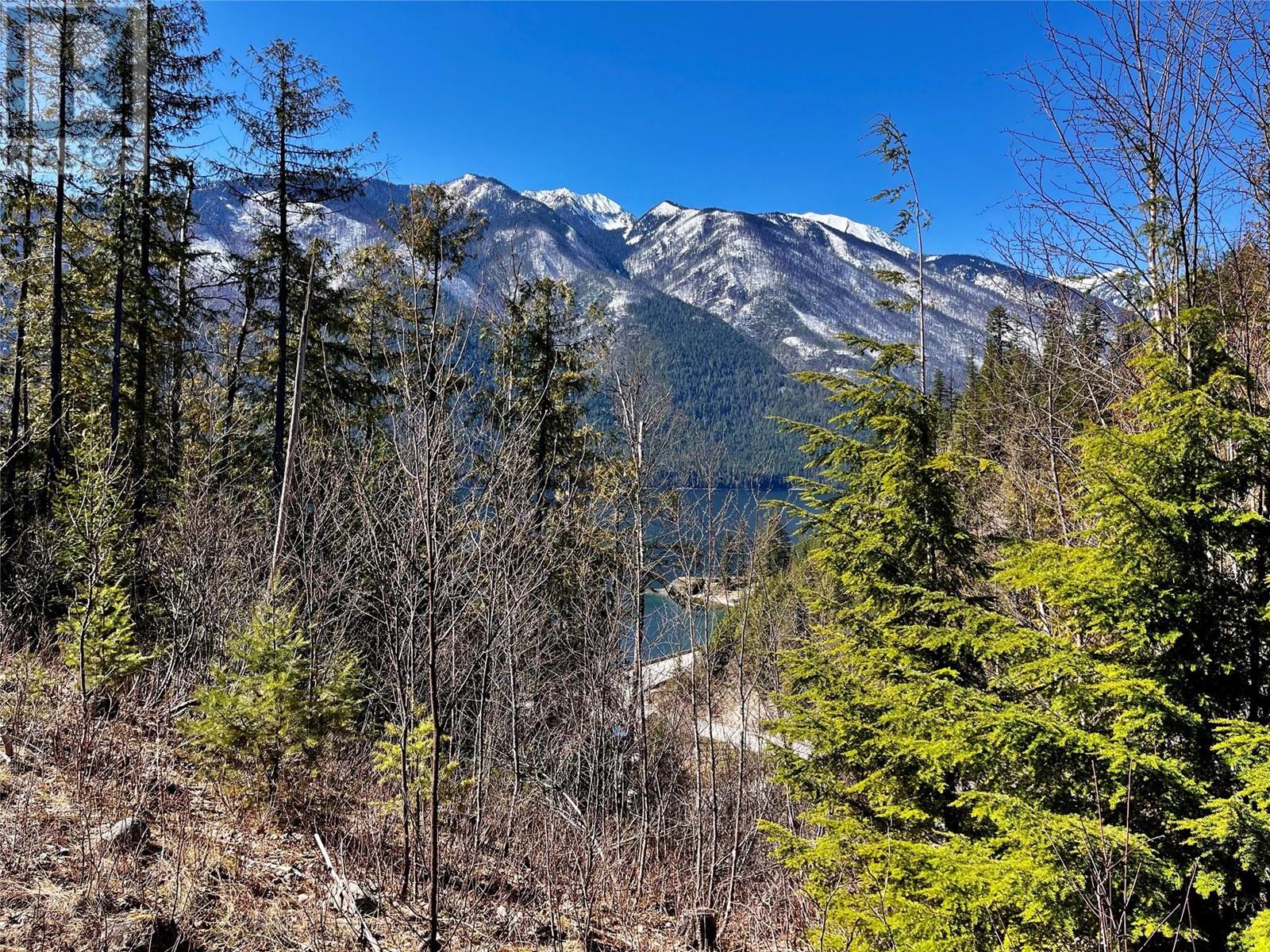 210 Fullmoon Road, Rosebery, British Columbia  V0G 1S1 - Photo 43 - 10335451