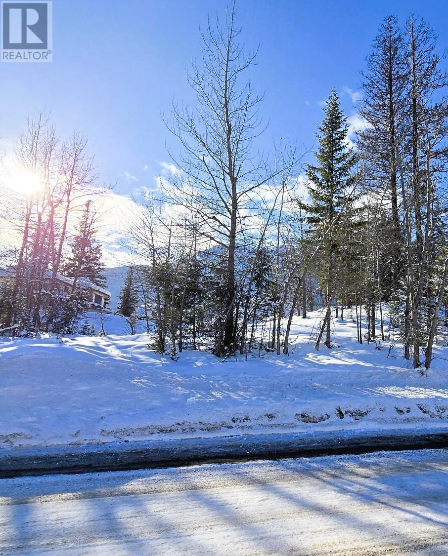 51 Cariboo Drive, Elkford, British Columbia  V0B 1H0 - Photo 1 - 10335876