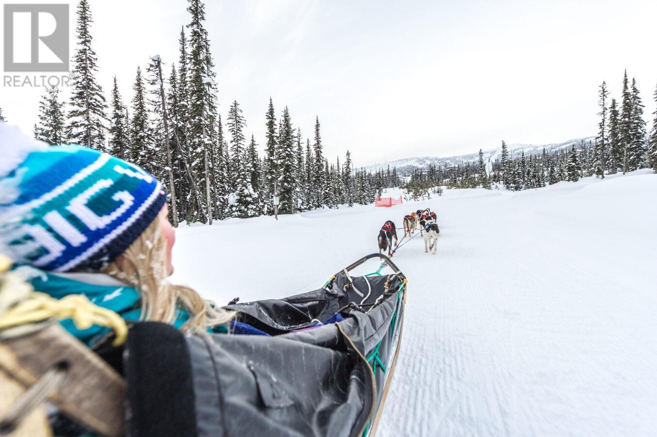 255 Raven Ridge Road Unit# 3, Big White, British Columbia  V0H 1A0 - Photo 31 - 10336181