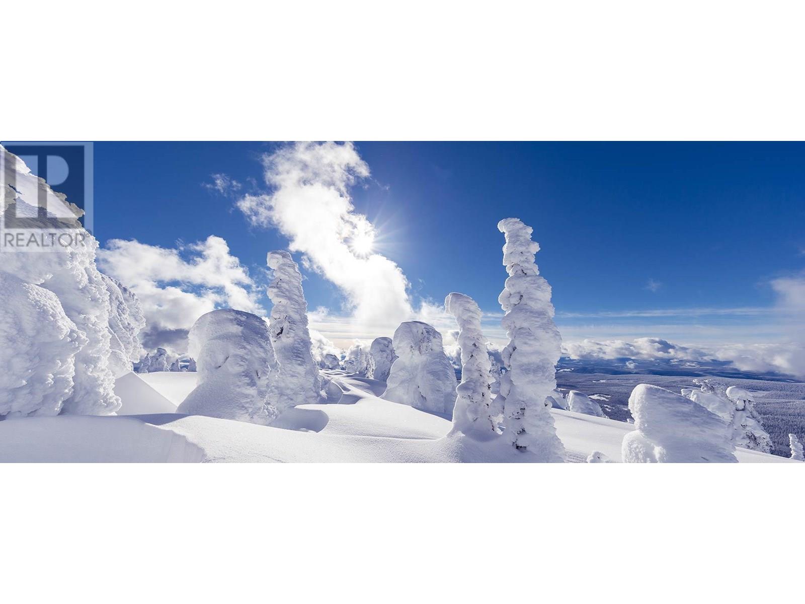 255 Raven Ridge Road Unit# 3, Big White, British Columbia  V0H 1A0 - Photo 33 - 10336181